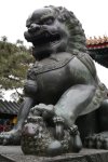 gal/China Year of Snake/_thb_Lion.jpg